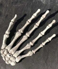 Shenzhen Chen Yao Electronic Technology Co., Ltd Top 2pcs 1 Pairs Plastic Skeleton Hands Haunted House For Halloween Decoration Halloween Props