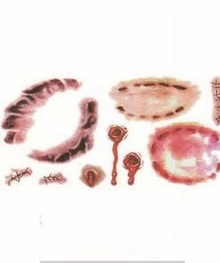 Alisa Craftdiy Store 1Pcs/lot Makeup Stickers Tattoo Stickers Water Transfer Stickers For Halloween Masquerade Cosplay Party Decorations Supplies Halloween Temporary Tekashi69 Tattoos