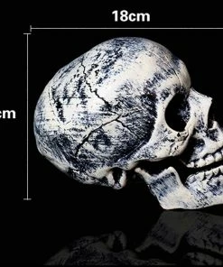 GiveMeaSmile Store 2018 Skeleton Christmas Prop 100% Plastic Lifelike Human Bones Skull Figurine For Horror Halloween Party Decoration Halloween Prop