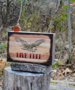 The American Store Gun Hidden Concealment Cabinet | Gun Storage | Gun Rack | Gun Case And Gun Safe | American Flag Wood Or Flag Gift Concealment Flags