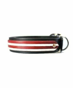 The American Store 4th Of July Dog Collar Red White Blue Leather Dog Collar USA Made Custom Tooled Leather Dog Collar Pitbull Collar Accessories