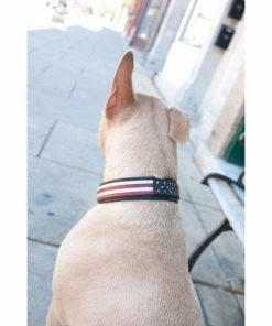 The American Store 4th Of July Dog Collar Red White Blue Leather Dog Collar USA Made Custom Tooled Leather Dog Collar Pitbull Collar Accessories
