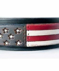 The American Store 4th Of July Dog Collar Red White Blue Leather Dog Collar USA Made Custom Tooled Leather Dog Collar Pitbull Collar Accessories