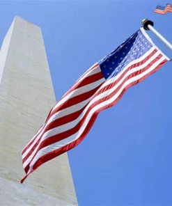 Onlineamericanstore 3 PCS Double Sided Printed American Polyester Grommets USA Flag