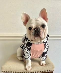 Onlineamericanstore Eeyore Halloween Pet Costume Sizes XS To XL - Cattle Milk Cow 3D