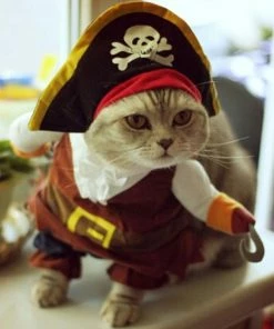 Idepet Hom'e Store Funny Cat Clothes Sex Nurse Suit Clothing Costume For Cats Cool Christmas Halloween Costume Pet Clothes Suit For Cat XS-2XL 27S1 Halloween Pets Accessories