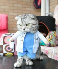 Idepet Hom'e Store Funny Cat Clothes Sex Nurse Suit Clothing Costume For Cats Cool Christmas Halloween Costume Pet Clothes Suit For Cat XS-2XL 27S1 Halloween Pets Accessories
