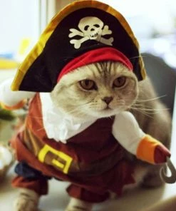 Idepet Hom'e Store Funny Cat Clothes Sex Nurse Suit Clothing Costume For Cats Cool Christmas Halloween Costume Pet Clothes Suit For Cat XS-2XL 27S1 Halloween Pets Accessories