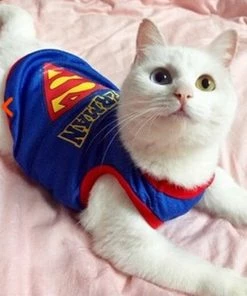 Idepet Hom'e Store Funny Cat Clothes Sex Nurse Suit Clothing Costume For Cats Cool Christmas Halloween Costume Pet Clothes Suit For Cat XS-2XL 27S1 Halloween Pets Accessories