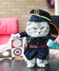 Idepet Hom'e Store Funny Cat Clothes Sex Nurse Suit Clothing Costume For Cats Cool Christmas Halloween Costume Pet Clothes Suit For Cat XS-2XL 27S1 Halloween Pets Accessories