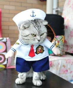 Idepet Hom'e Store Funny Cat Clothes Sex Nurse Suit Clothing Costume For Cats Cool Christmas Halloween Costume Pet Clothes Suit For Cat XS-2XL 27S1 Halloween Pets Accessories