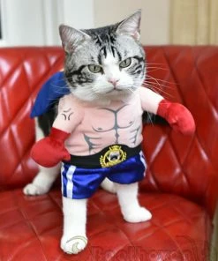 SUNNY & BUSH Funny Dog Cat Costumes Boxer Cosplay Suit Pet Clothing Halloween Christmas Uniform Clothes For Puppy Dogs Costume For A Cat