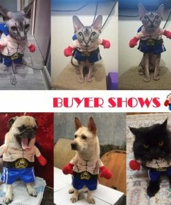 SUNNY & BUSH Funny Dog Cat Costumes Boxer Cosplay Suit Pet Clothing Halloween Christmas Uniform Clothes For Puppy Dogs Costume For A Cat