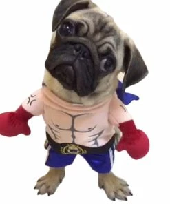 SUNNY & BUSH Funny Dog Cat Costumes Boxer Cosplay Suit Pet Clothing Halloween Christmas Uniform Clothes For Puppy Dogs Costume For A Cat