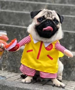 SUNNY & BUSH Funny Pet Costumes Waiter Cosplay Role Play Suit Clothing Halloween Christmas Clothes For Puppy Dogs Costume For A Cat Halloween Pets Accessories