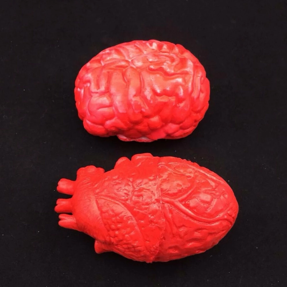 Your Brilliant House Store Halloween Prop Halloween Horror Props Bloody Hand Haunted House Party Decoration Scary Hand Finger Leg Foot Brain Heart HOT 12 Your Brilliant House Store Halloween Prop Halloween Horror Props Bloody Hand Haunted House Party Decoration Scary Hand Finger Leg Foot Brain Heart HOT