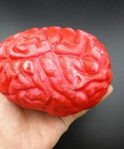 Your Brilliant House Store Halloween Prop Halloween Horror Props Bloody Hand Haunted House Party Decoration Scary Hand Finger Leg Foot Brain Heart HOT 27 Your Brilliant House Store Halloween Prop Halloween Horror Props Bloody Hand Haunted House Party Decoration Scary Hand Finger Leg Foot Brain Heart HOT