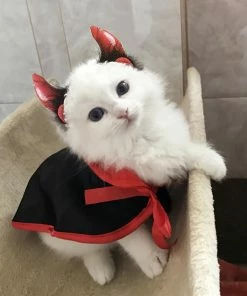 Legendog Designer Store Halloween Pet Costumes Cute Cosplay Vampire Cloak Cape Dog Cap With Cosplay Horns Halloween Pets Accessories