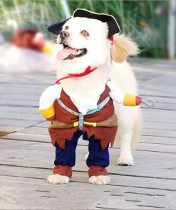 Myeasylife Store Halloween Pets Accessories New Arrival Funny Pet Clothes Cosplay Pirate Dog Cat Halloween Party Cute Costume Clothing Comfort For Small Medium Dog #254925