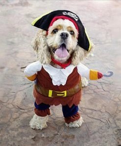 Myeasylife Store Halloween Pets Accessories New Arrival Funny Pet Clothes Cosplay Pirate Dog Cat Halloween Party Cute Costume Clothing Comfort For Small Medium Dog #254925