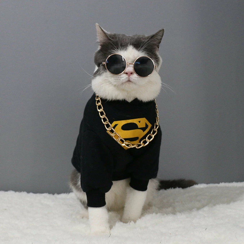 Petood Store Pet Accessories Cat Dog Sunglasses UV Sun Glasses Eye Protection Wear Random Color Vacation Halloween Cool And Fashion 7 Petood Store Pet Accessories Cat Dog Sunglasses UV Sun Glasses Eye Protection Wear Random Color Vacation Halloween Cool And Fashion