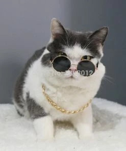 Petood Store Pet Accessories Cat Dog Sunglasses UV Sun Glasses Eye Protection Wear Random Color Vacation Halloween Cool And Fashion 17 Petood Store Pet Accessories Cat Dog Sunglasses UV Sun Glasses Eye Protection Wear Random Color Vacation Halloween Cool And Fashion