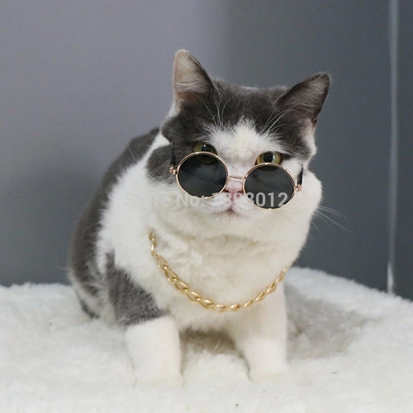 Petood Store Pet Accessories Cat Dog Sunglasses UV Sun Glasses Eye Protection Wear Random Color Vacation Halloween Cool And Fashion 8 Petood Store Pet Accessories Cat Dog Sunglasses UV Sun Glasses Eye Protection Wear Random Color Vacation Halloween Cool And Fashion