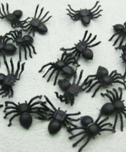 International Home Garden Store Useful 50pcs 2*1.4cm Plastic Black Spider Halloween Decoration Festival Supplies Funny Prank Toys Decoration Realistic Prop Halloween Prop 13 International Home Garden Store Useful 50pcs 2*1.4cm Plastic Black Spider Halloween Decoration Festival Supplies Funny Prank Toys Decoration Realistic Prop Halloween Prop