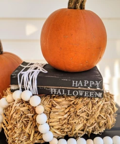 Onlineamericanstore Halloween Decorations Mini Book Stacks - Halloween Decor - Rae Dunn Halloween - Hocus Pocus - Stamped Books - Halloween - Tiered Tray