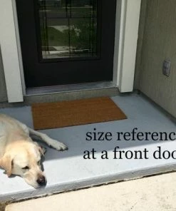 The American Store Halloween Decorations The Original Hocus Pocus Doormat, Sanderson Sisters Door Mat, I Smell Children, Disney Door Mat,MNSSHP, Disney Home Decor,Halloween Door Mat