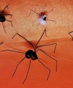 Online American Store Faux Black Widow Spider Variety Pack, Extra Large Black Widow, 3 Regular Black Widows, Albino Black Widow, Halloween Spider Decoration Pack