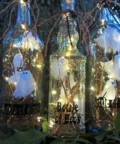 GiftstoGoUS Halloween Decorations Halloween Bottle Of Boos