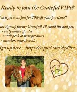 Onlineamericanstore Christmas Kitchen Decor - Cute/Sassy Sayings Christmas Decorations