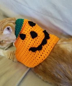Onlineamericanstore Pumpkin Cat Costume/Sweater (with Or Without Pumpkin Hat)- Halloween Costumes For Cats- Pumpkin Cat- Pumpkin Cat Hat- Jack O Lantern Cat Halloween Pets Accessories