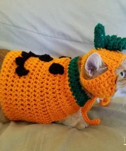 Onlineamericanstore Pumpkin Cat Costume/Sweater (with Or Without Pumpkin Hat)- Halloween Costumes For Cats- Pumpkin Cat- Pumpkin Cat Hat- Jack O Lantern Cat Halloween Pets Accessories
