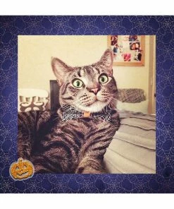 Onlineamericanstore Halloween Pet Bow Tie -