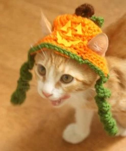Onlineamericanstore Jackolantern Cat Hat, Pumpkin Cat Hat, Halloween Cat Hat, Jack-o-lantern Hat For Cats And Small Dogs, Halloween Pet Accessory, Hats For Cats