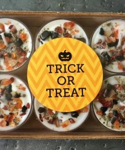 Onlineamericanstore Pumpkin Candles - Trick Or Treat Tealight Candles - Crystal & Herb Tealight Candles - Halloween Candles - Soy Candle - Fall Candles Update Your Settings Halloween Decorations