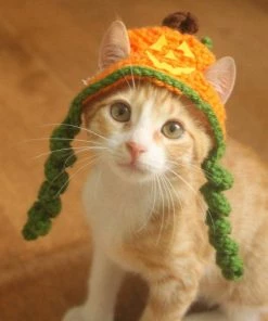 Onlineamericanstore Jackolantern Cat Hat, Pumpkin Cat Hat, Halloween Cat Hat, Jack-o-lantern Hat For Cats And Small Dogs, Halloween Pet Accessory, Hats For Cats