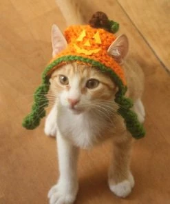 Onlineamericanstore Jackolantern Cat Hat, Pumpkin Cat Hat, Halloween Cat Hat, Jack-o-lantern Hat For Cats And Small Dogs, Halloween Pet Accessory, Hats For Cats