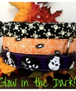 Onlineamericanstore Halloween Dog Collar, Dog Collar, Glow In The Dark Collar, Glow In The Dark Dog Collar, Halloween Glow In The Dark Collar, Skulls Dog Collar