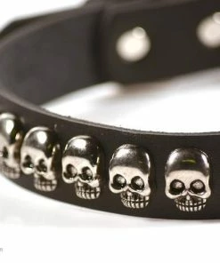 Onlineamericanstore Skulls Black Medium Leather Dog Collar, Silver Studs, Stainless Steel, For Small, Medium And Large Breeds, Halloween, Party, Costumes