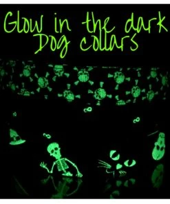 Onlineamericanstore Halloween Dog Collar, Dog Collar, Glow In The Dark Collar, Glow In The Dark Dog Collar, Halloween Glow In The Dark Collar, Skulls Dog Collar