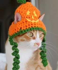 Onlineamericanstore Jackolantern Cat Hat, Pumpkin Cat Hat, Halloween Cat Hat, Jack-o-lantern Hat For Cats And Small Dogs, Halloween Pet Accessory, Hats For Cats