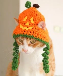Onlineamericanstore Jackolantern Cat Hat, Pumpkin Cat Hat, Halloween Cat Hat, Jack-o-lantern Hat For Cats And Small Dogs, Halloween Pet Accessory, Hats For Cats