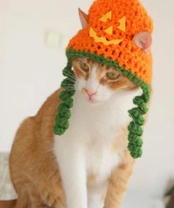 Onlineamericanstore Jackolantern Cat Hat, Pumpkin Cat Hat, Halloween Cat Hat, Jack-o-lantern Hat For Cats And Small Dogs, Halloween Pet Accessory, Hats For Cats
