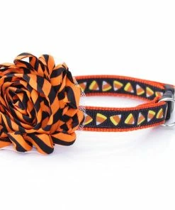 Onlineamericanstore Halloween Cat Collar -