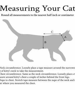 Onlineamericanstore Pumpkin Cat Costume/Sweater (with Or Without Pumpkin Hat)- Halloween Costumes For Cats- Pumpkin Cat- Pumpkin Cat Hat- Jack O Lantern Cat Halloween Pets Accessories