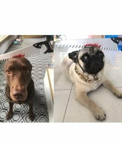 Onlineamericanstore Funny Halloween Costume Saw Axe Headband For Pet Dog Cat And Human, Great For Photo Props, Party Idea And Just For Laugh Update Your Settings Halloween Pets Accessories 19 Onlineamericanstore Funny Halloween Costume Saw Axe Headband For Pet Dog Cat And Human, Great For Photo Props, Party Idea And Just For Laugh Update Your Settings Halloween Pets Accessories