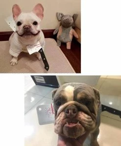 Onlineamericanstore Funny Halloween Costume Saw Axe Headband For Pet Dog Cat And Human, Great For Photo Props, Party Idea And Just For Laugh Update Your Settings Halloween Pets Accessories 18 Onlineamericanstore Funny Halloween Costume Saw Axe Headband For Pet Dog Cat And Human, Great For Photo Props, Party Idea And Just For Laugh Update Your Settings Halloween Pets Accessories